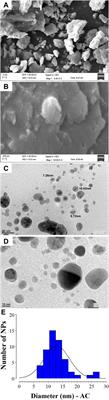 Phytofabrication and characterization of Alchornea cordifolia silver nanoparticles and evaluation of antiplasmodial, hemocompatibility and larvicidal potential